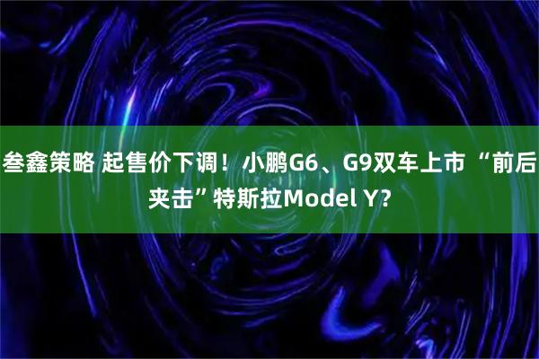叁鑫策略 起售价下调!小鹏G6、G9双车上市 “前后夹击”特斯拉Model Y?