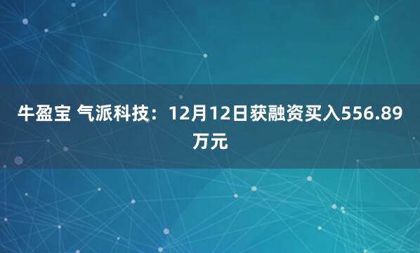 牛盈宝 气派科技:12月12日获融资买入556.89万元