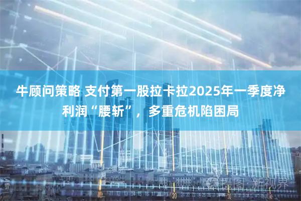 牛顾问策略 支付第一股拉卡拉2025年一季度净利润“腰斩”,多重危机陷困局