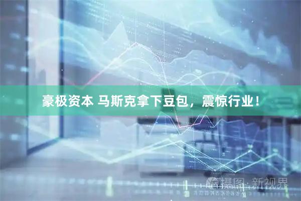 豪极资本 马斯克拿下豆包，震惊行业！